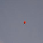 Cambria_0064 (November 02, 2013)